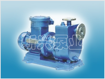 ZCQ型自吸式磁力驅動泵